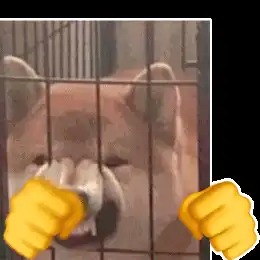 挨揍表情包喊你朋友进来挨打
