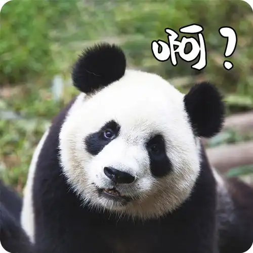 我的大熊猫表情包分你一点
