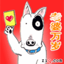 高清图家有贱狗qq表情至贱则无敌图8zol中关村在线