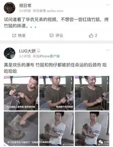 打架输了中暑抑郁想吃你这些都是理由
