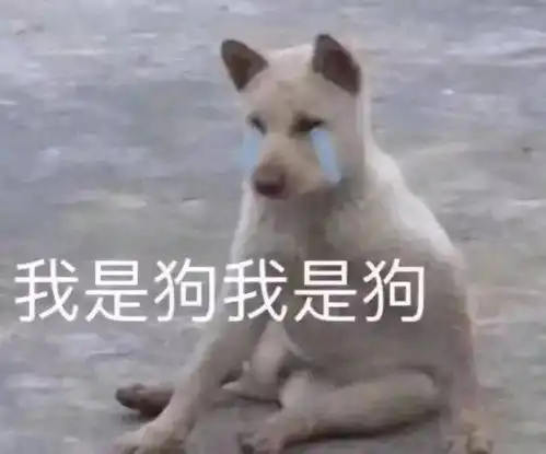 表情包难以置信
