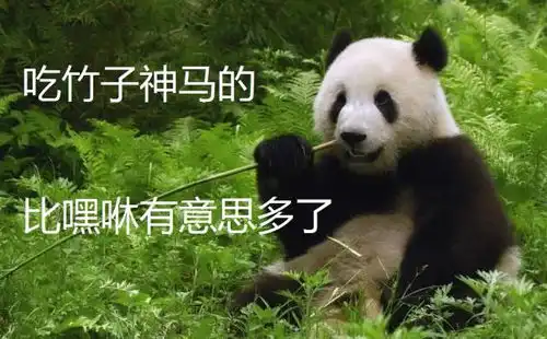 为了让熊猫生崽,现在爱丁堡动物园里连鲜艳衣服都禁了...
