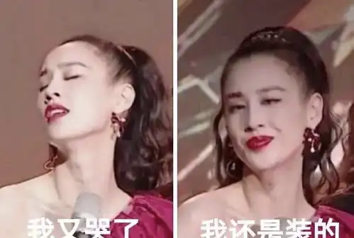 来看看乘风破浪的那些表情包们吧哈哈哈啊哈哈我要笑死了
