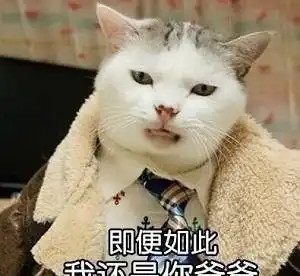 猫咪表情紧张的吃手手
