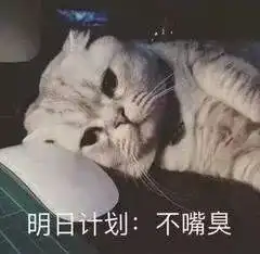 表情包整条街最靓,不接受反驳
