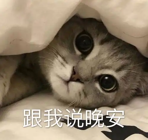 有没有什么早安晚安的表情包
