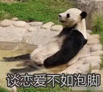 猫咪带字表情包长得可爱就是麻烦
