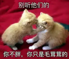 伸出圆手,救救孩子如何拯救一个想喝奶茶的姑娘