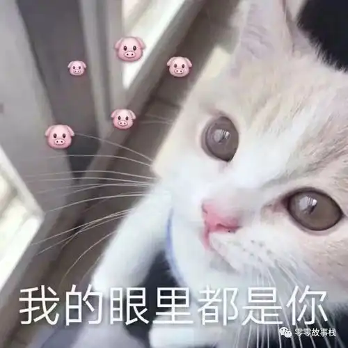 哔哩哔哩专栏
