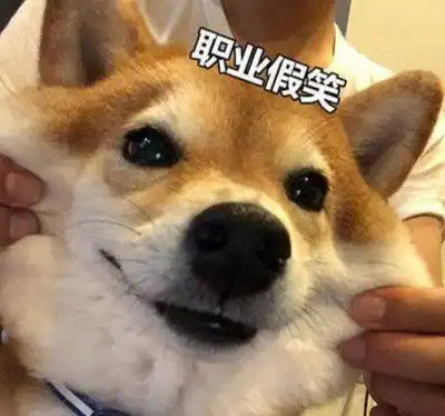如何科学撸猫吸猫
