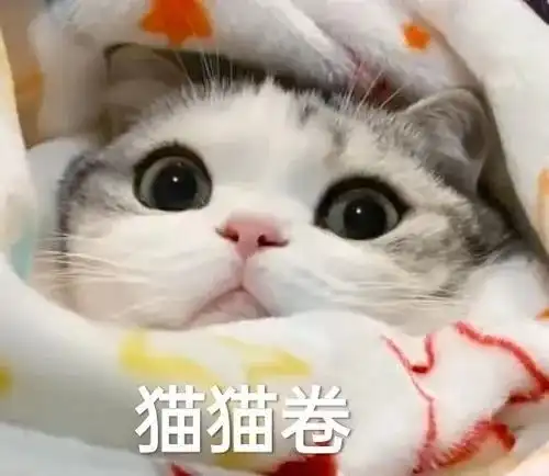 e句话看天下e姐请大家看神奇动物邓布利多之谜啦

