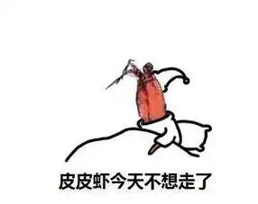 皮皮虾我们走带你去快活
