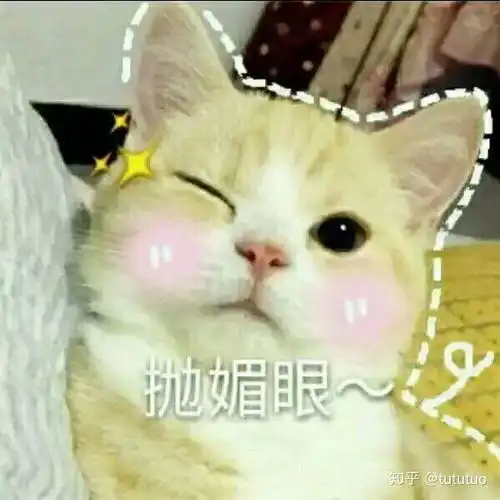 有哪些特别萌的表情包