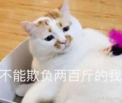 我是个刚上大一的学生,老妈非让我学做饭,我不是很想学,那么当代大学生该不该学做饭呢
