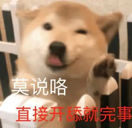超喜欢做表情包柴犬,你在看什么呢,靓仔
