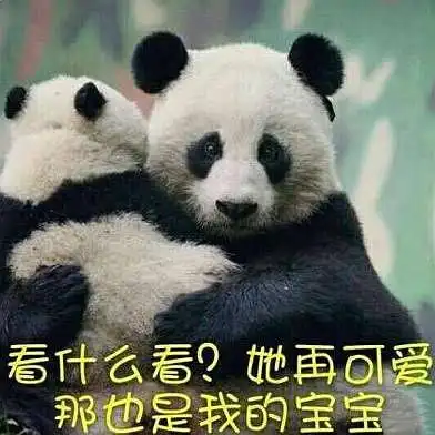 师徒cp你们是站年上还是年下啊
