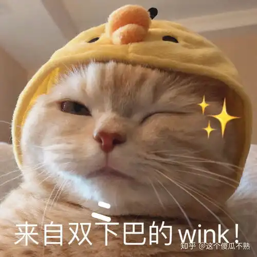 请问看小说,手机和平板电脑哪个体验好
