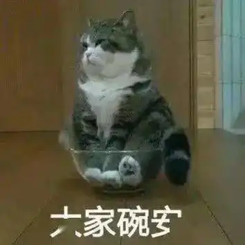 套路聊天表情包
