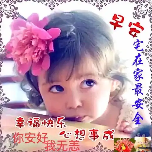 欢迎图片表情包问好