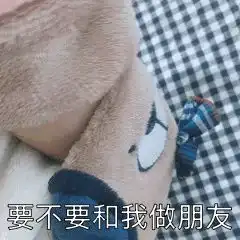 收藏夹
