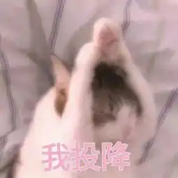 人才男子徒手爬上16楼,为见前女友,没想到爬错了哈哈哈......
