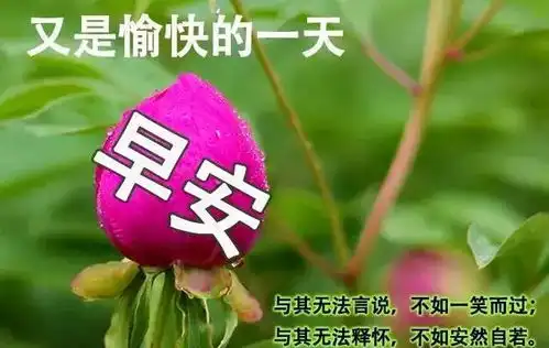 早上好动图表情2021年最新版早上好动图表情包微信
