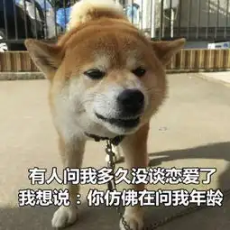 可爱逗比的汪星人表情包头像都微信头像我要个性网
