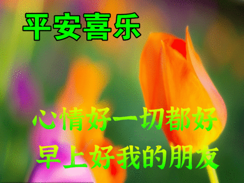 8张免打字漂亮好看的早上好美图鲜花,秋日早晨好幸福暖心的问候表情图片鲜花

