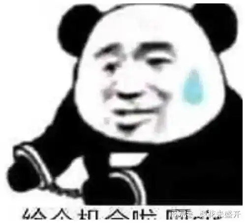 跟你超配的沙雕熊猫头表情包
