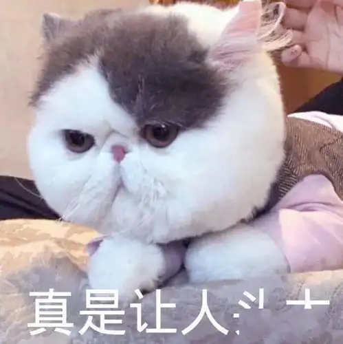 我怕看完这个教程,你们都去下c4d了...
