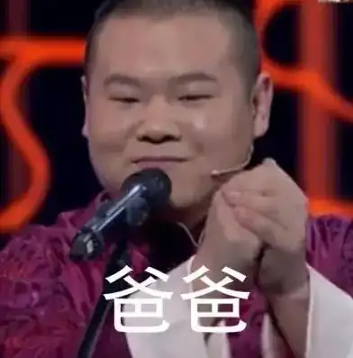 贱人小岳岳
