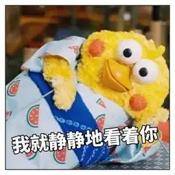 最近很火的鸡的表情包鹦鹉兄弟表情包大全
