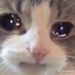 舍友天天在宿舍吃螺蛳粉怎么办
