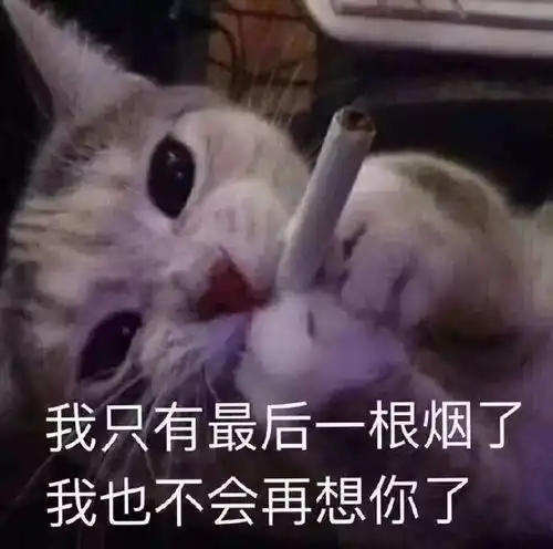 提前为缺货找理由黄章称16x供应商没谈妥情愿卖16
