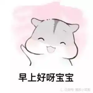 仓鼠表情包早上好吖宝宝

