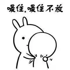抖音萌兔哄人搞笑表情包嘬一口别不开心了
