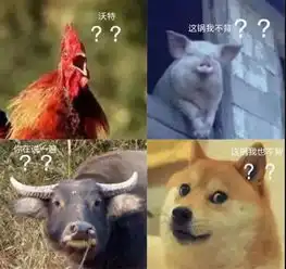这些网络流行语,总有一句活在你的表情包里
