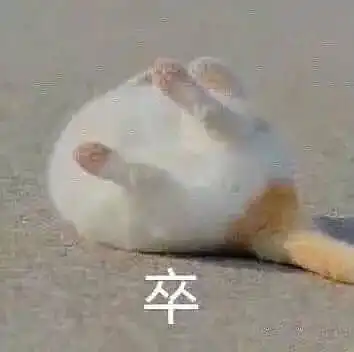 毕设降重的我现在好想死啊
