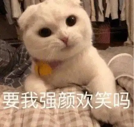 新鲜出炉的沙雕句子
