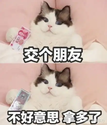 独居,平时在单位时间长,适合养猫吗
