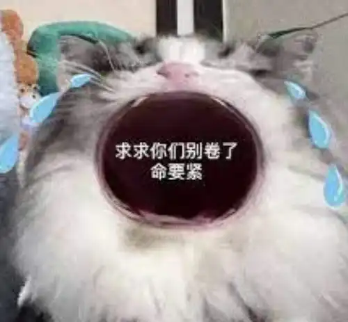 留学生现状可以没对象,不能没搭子