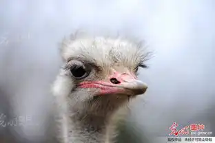 无标题

