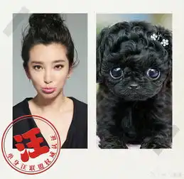 李冰冰晒照自嘲单身汪表情搞怪逗趣惹人爱
