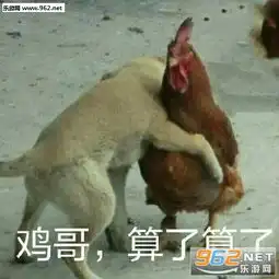 算了算了表情图片算了算了系列表情包下载乐游网游戏下载
