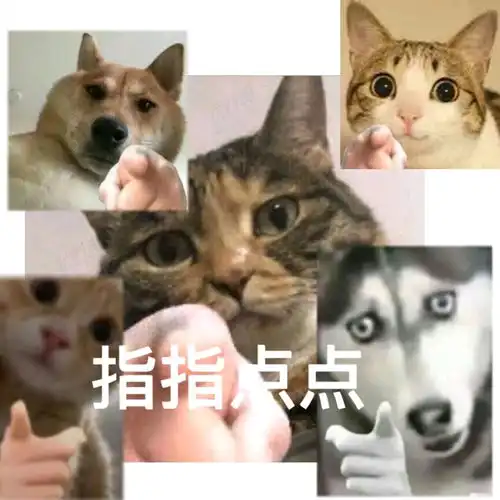 群友们的表情包七