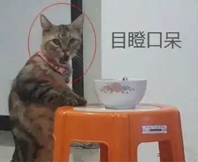 猫咪踮起脚尖偷吃,被抓包后表情让人笑出鼻涕泡,网友很多戏
