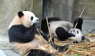欣赏1407
