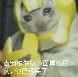 元宇宙,关打工人屁事
