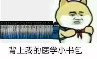 别人眼中你的专业vs实际你的专业
