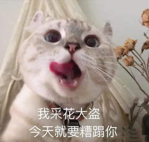 干货关于闲鱼选品的小技巧及运营方法
